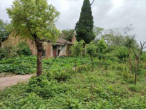 143228137.png 143228137.png