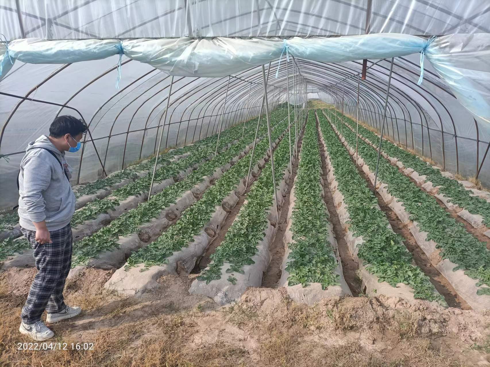 161254990.jpg 161254990.jpg