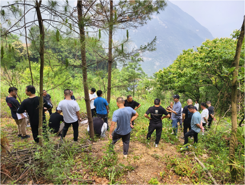 091949355.png 微信图片_20250721165138.png